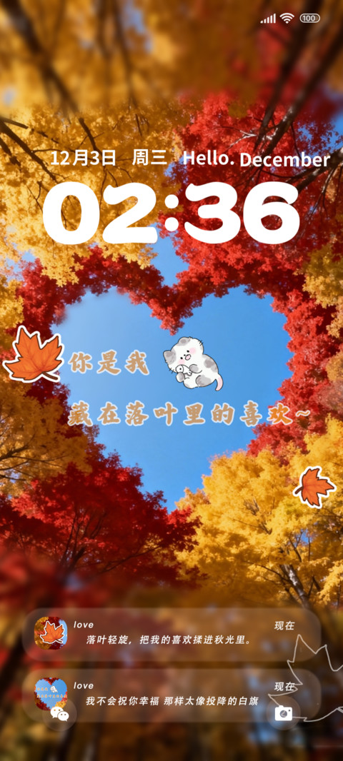藏在落叶里的喜欢 preview