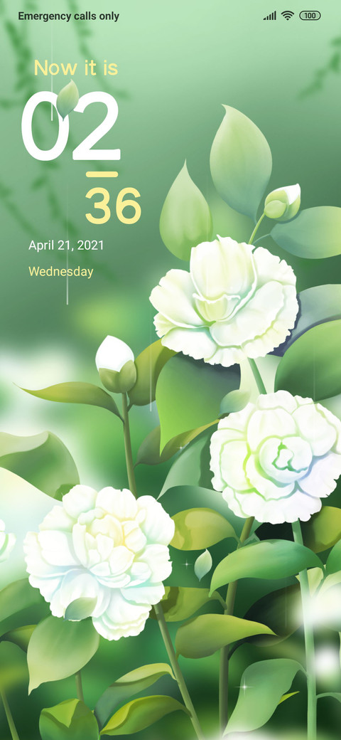 Camellia Blooms preview