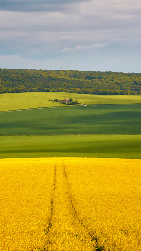 Farmland fields preview