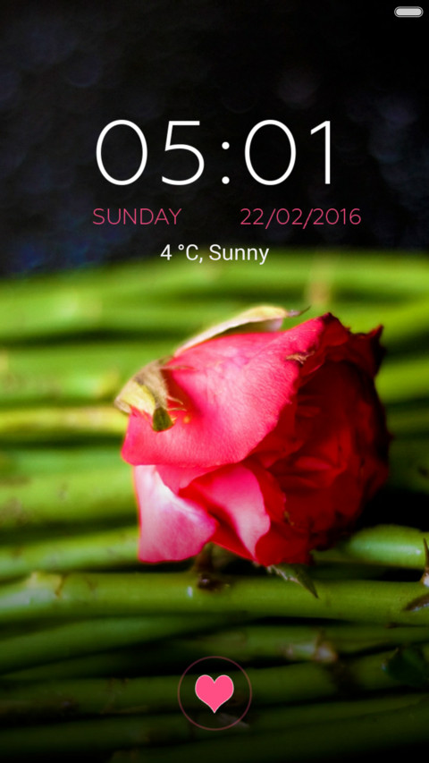  IN Rose preview