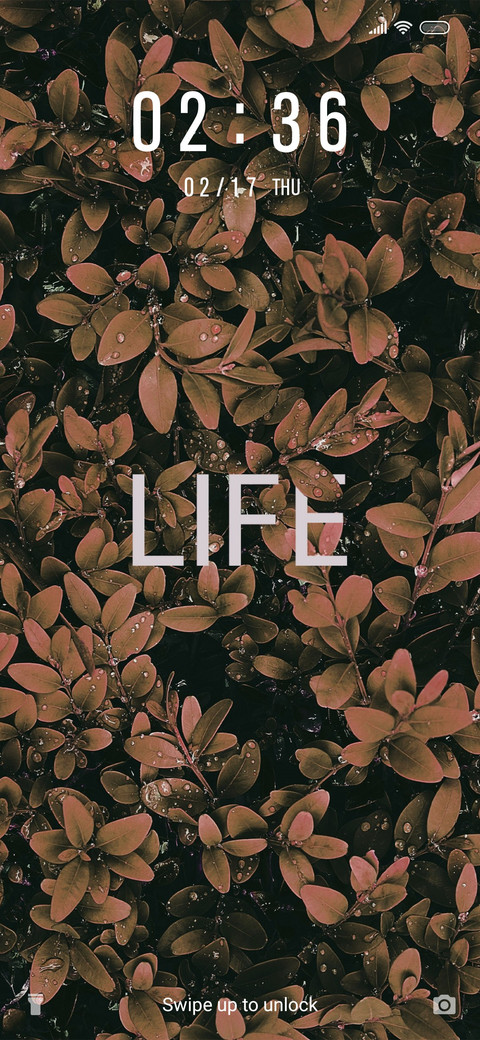Life_3MDS preview