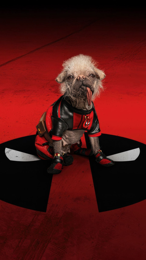 Dogpool preview