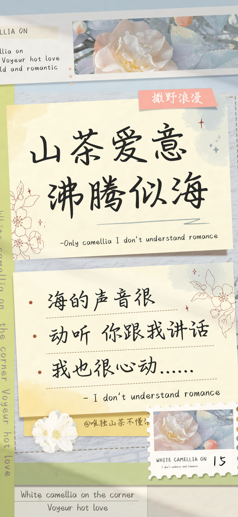 山茶爱意沸腾似海 preview