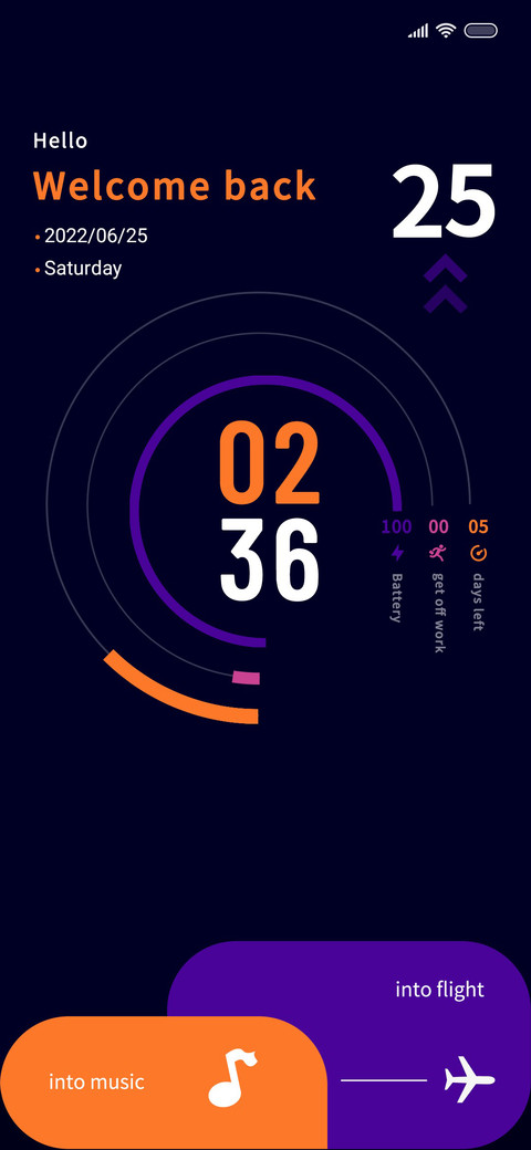 simple flight preview