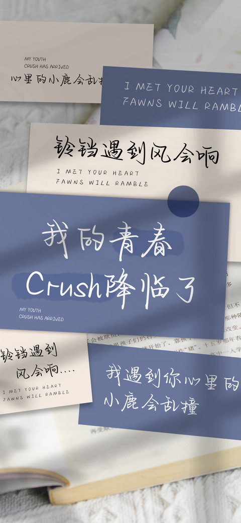 我的青春Crush降临 preview