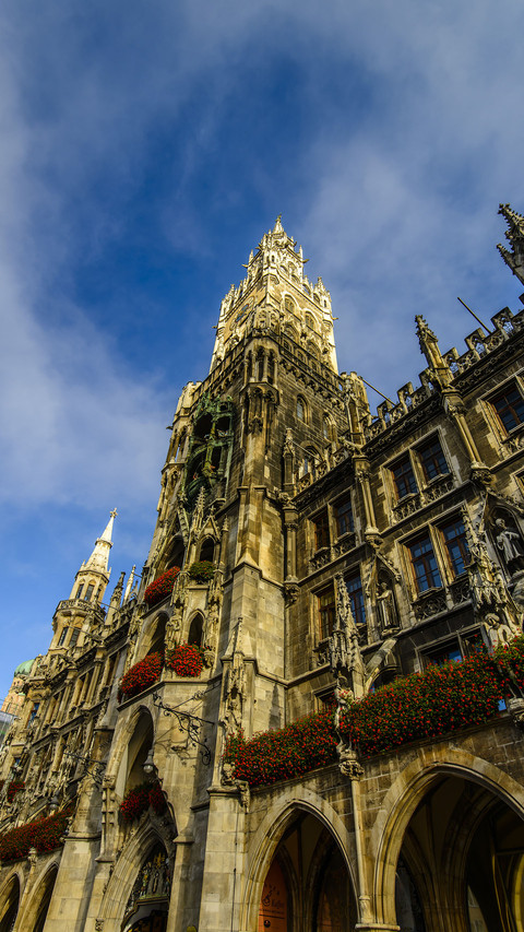 Seeking beauty Germany 60 preview