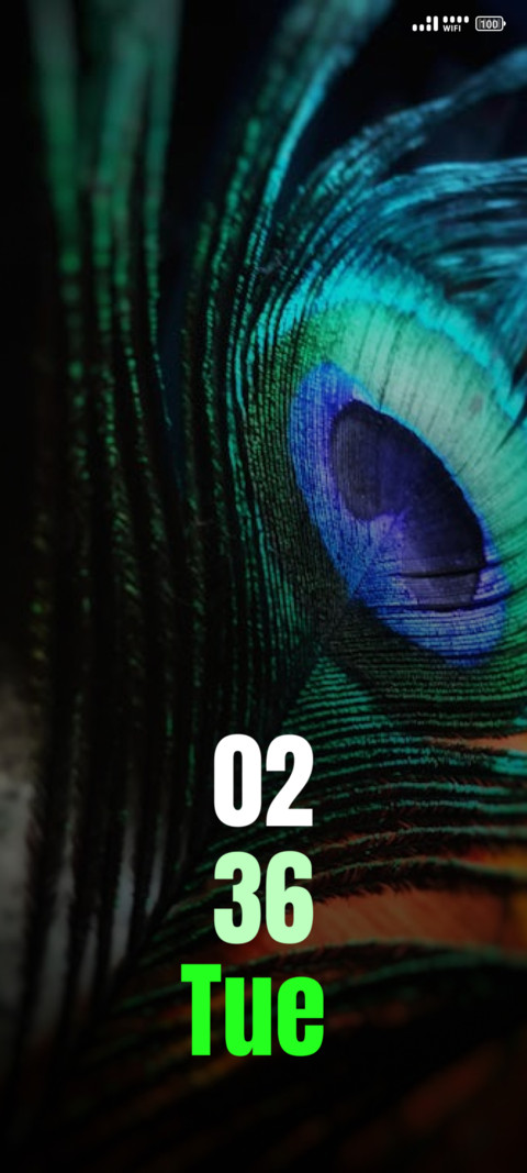 peacock feather preview