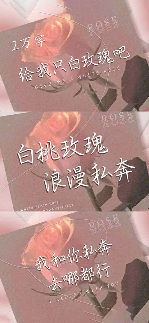 白桃玫瑰浪漫私奔 preview