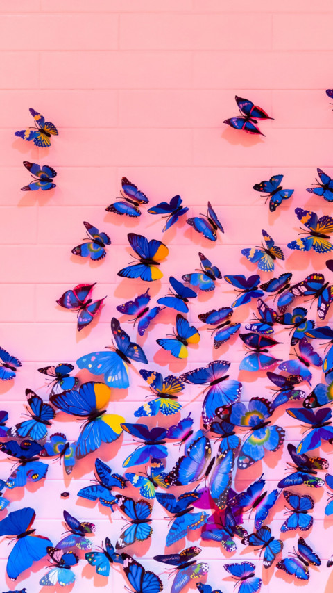 Butterfly preview
