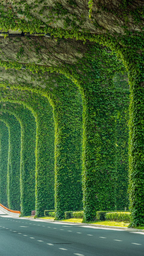 Elevated transformation into green corridor preview