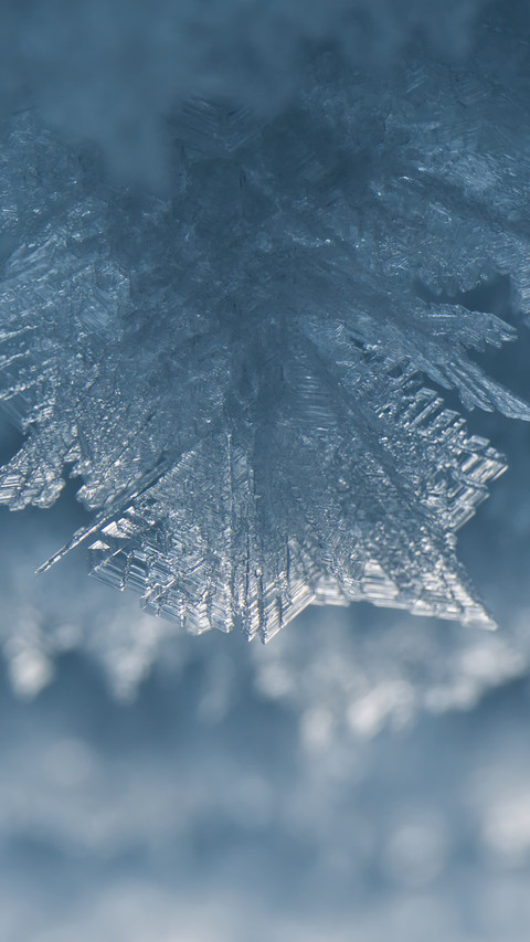 Frost flowers adorn indonesian car windows preview