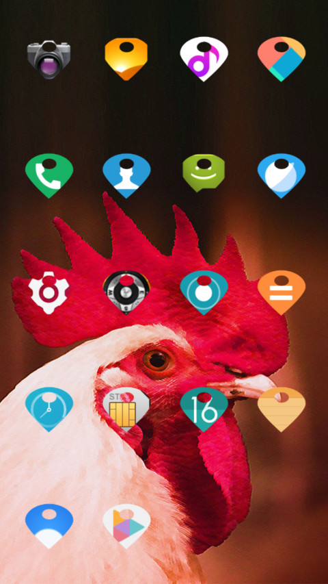 Chicken_DWM19 preview
