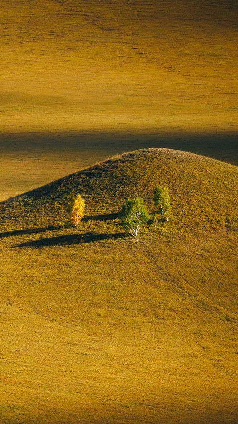 Encounter the golden autumn of the grassland 2 preview
