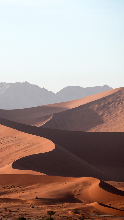 Golden Sands (4) preview