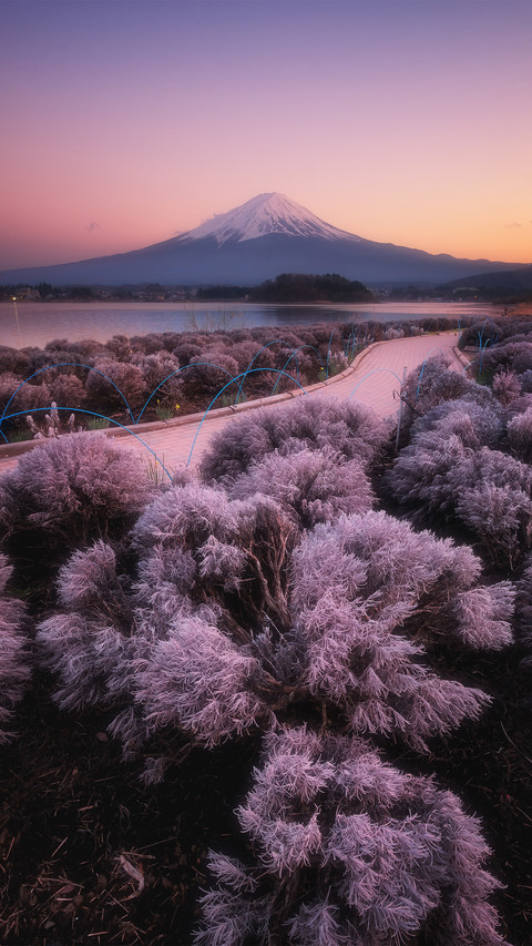 Mount fuji in japan is about to erupt preview