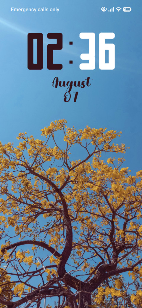 Spring preview