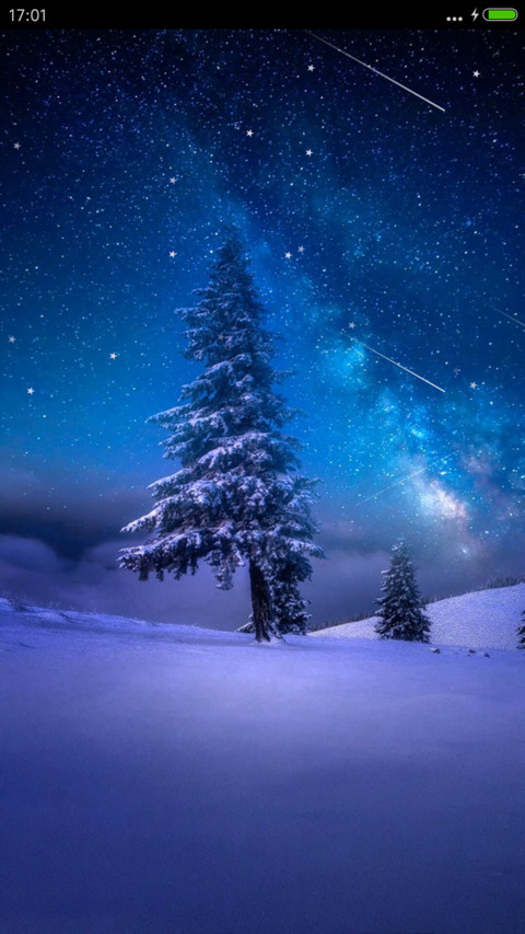 星空雪松 miui theme