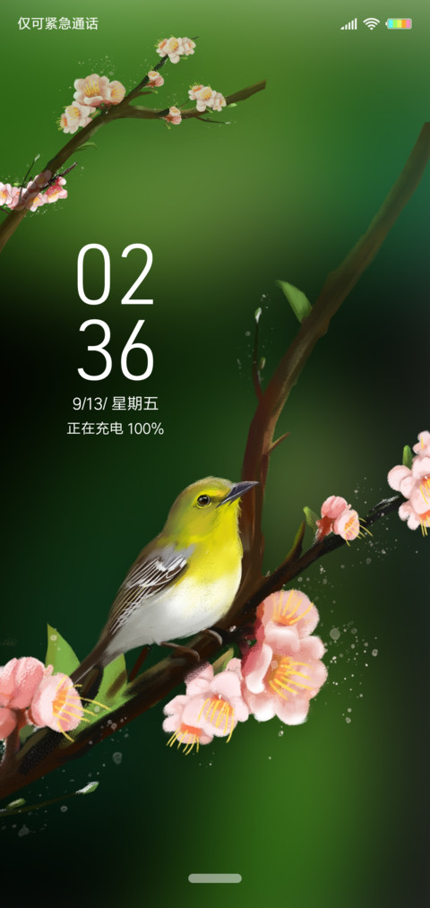 鸟语 preview