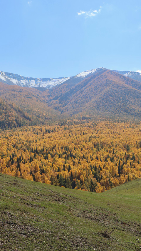The autumn charm paints all the peaks preview