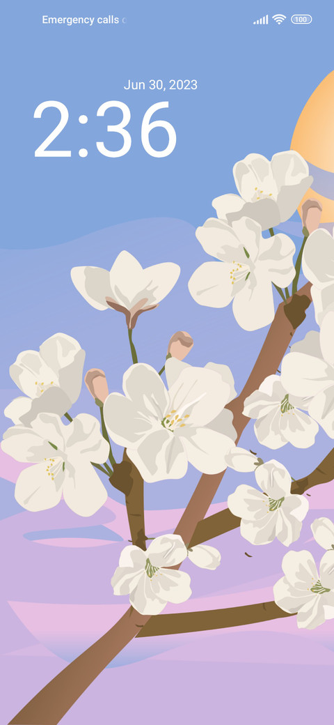cherry sunrise preview