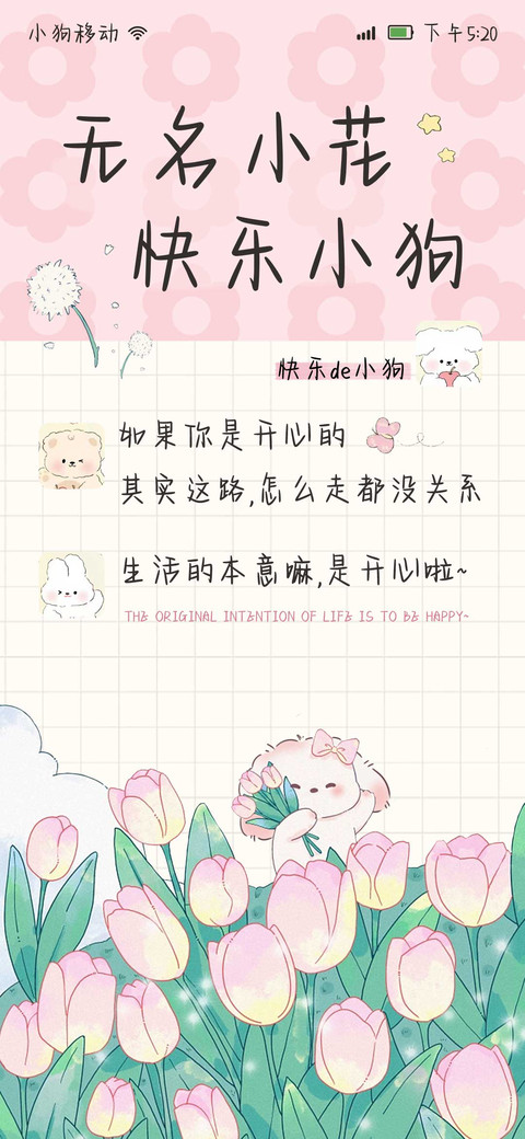 无名小花快乐小狗 preview