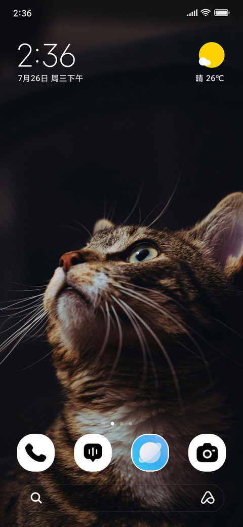 Shadow Paws preview