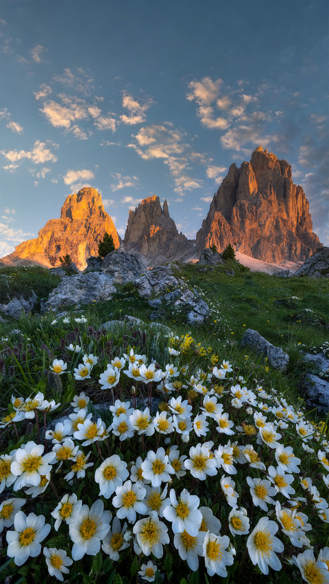 The summer scroll of dolomites preview