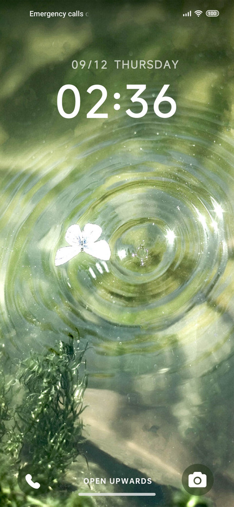 Butterfly preview