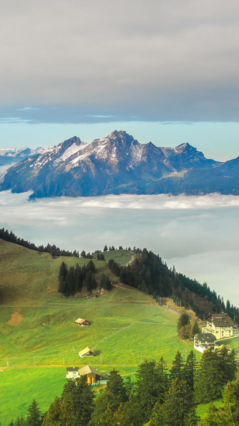 Foggy Mountain and Sea of Mist preview