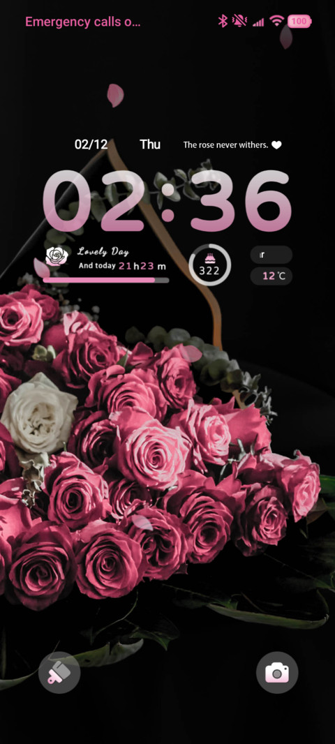 Night Rose preview