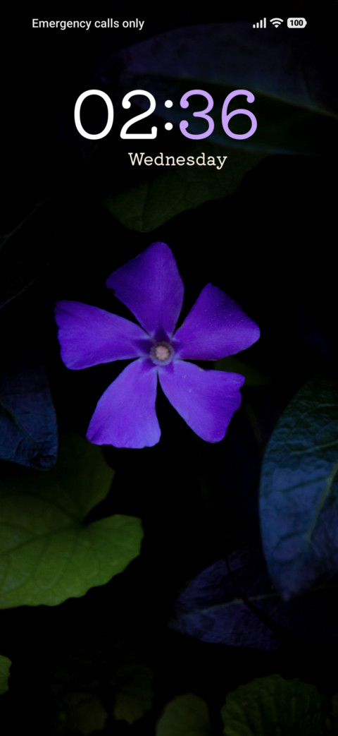 Purple Serenity preview