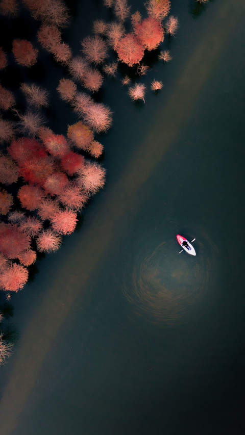 Discover the beauty of Nanjing 29 preview