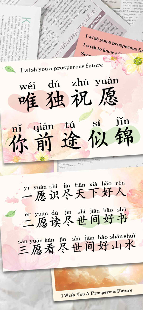 唯独祝愿你前途似锦 preview