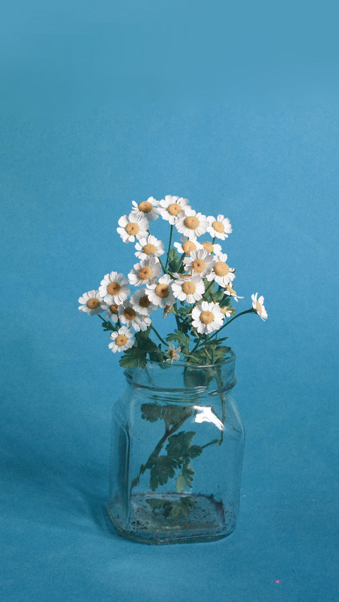 Vase preview