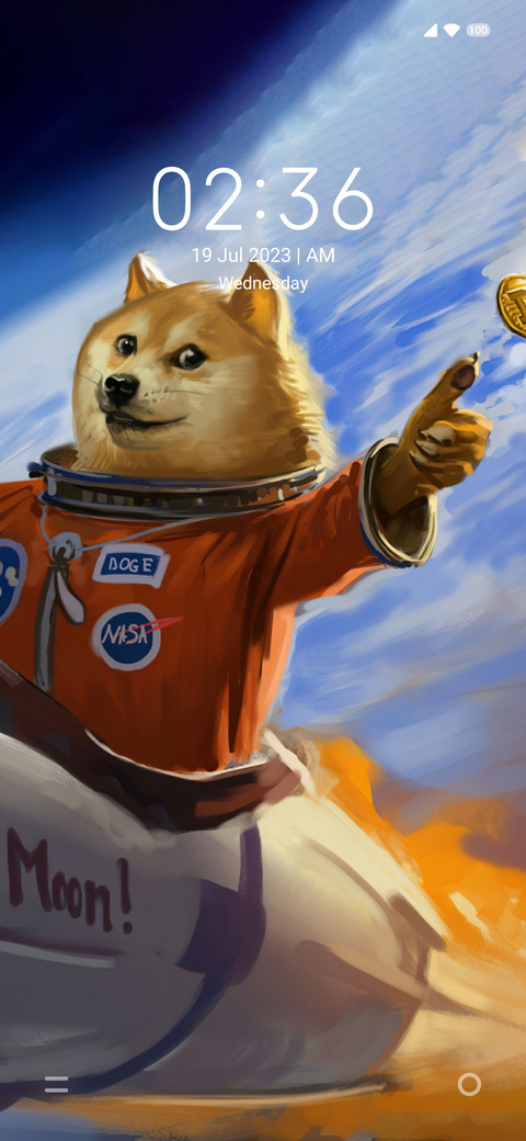 DOGE Galaxy preview