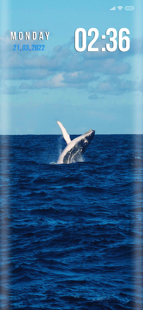 Whale si preview