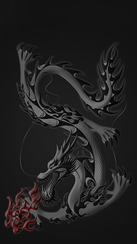 古风龙 preview