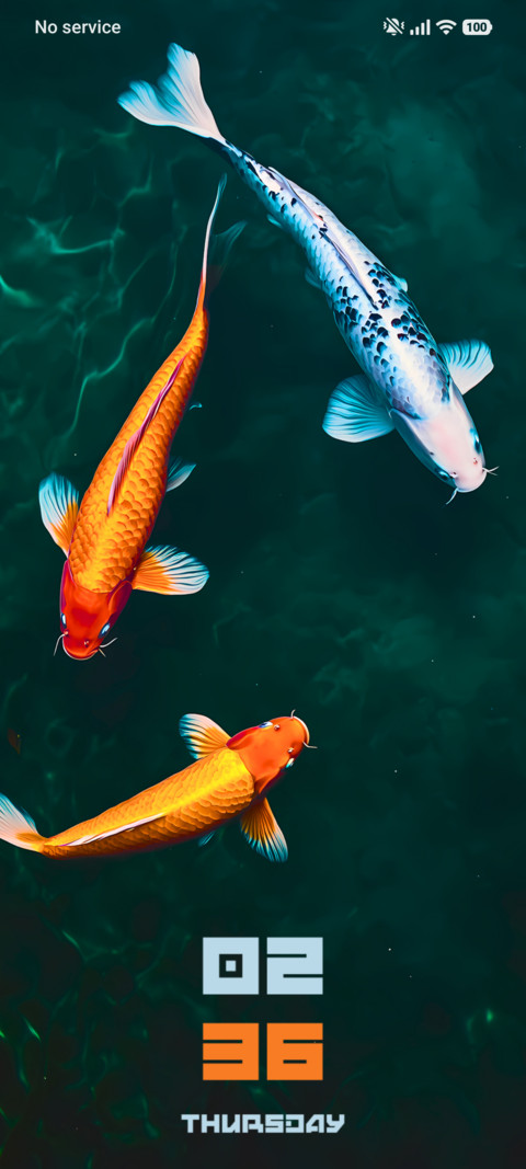 Koi Fish preview