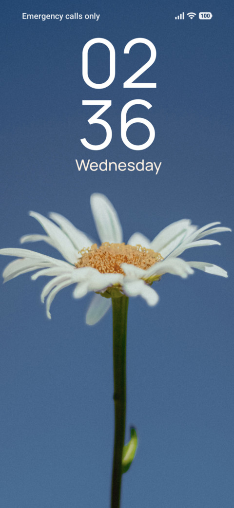 Sky Daisy preview