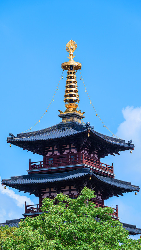One day tour guide to hanshan temple preview