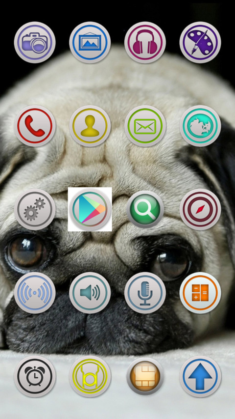 cute_ugly_pug preview