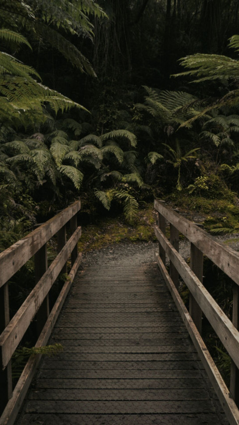 Bridges Of Life (18) preview