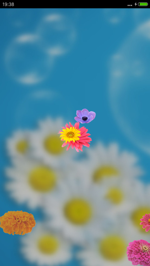 菊花（动态锁屏特效+动态桌面特效） preview