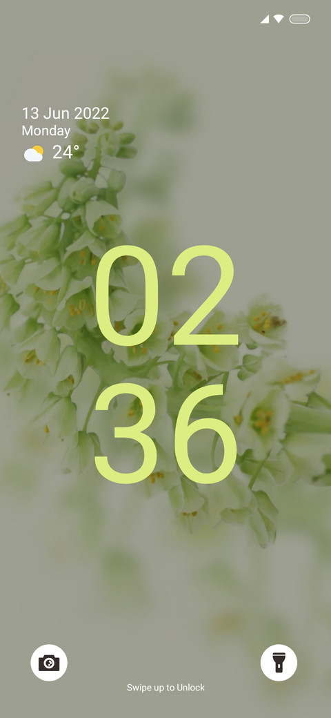 Android 12 Lemon preview