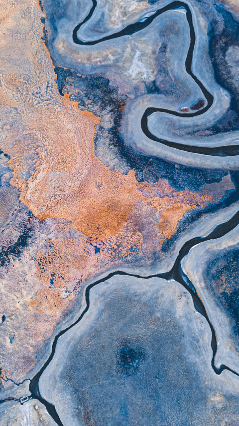 The winter texture of taheman wetland preview