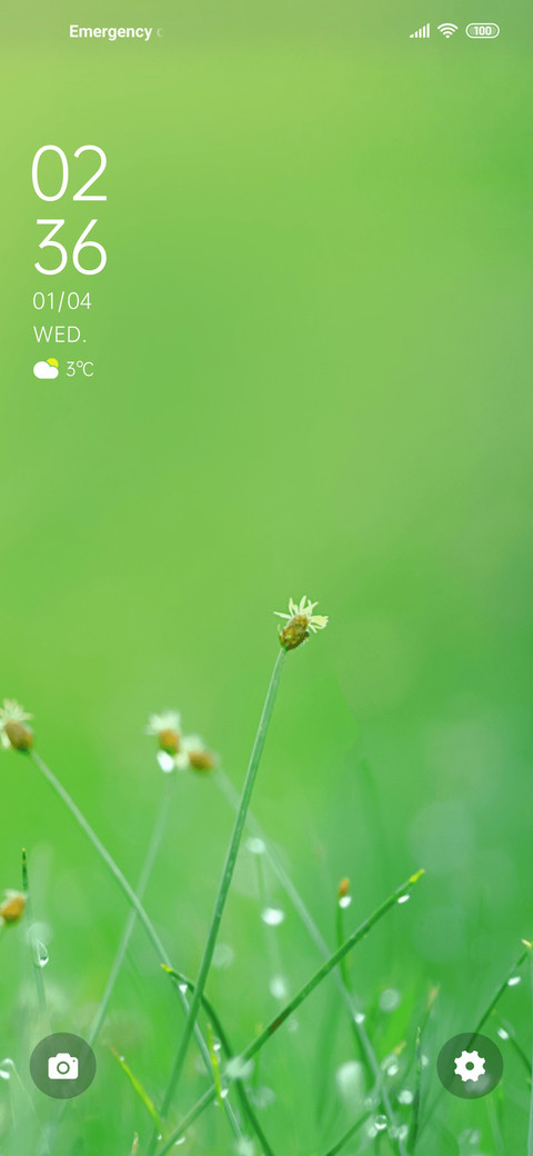Spring spring preview