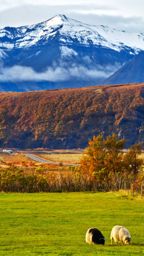 How should one choose for domestic mountain climbing preview