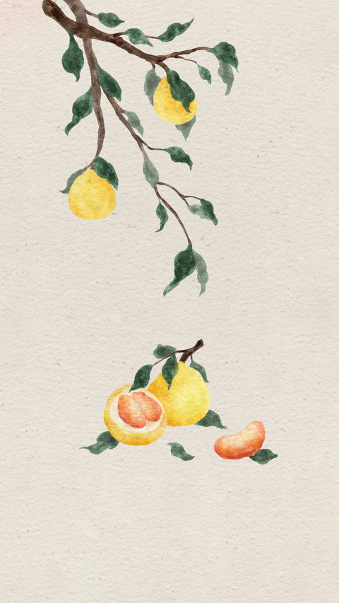 Pomelo helps digestion so dont be too fancy preview