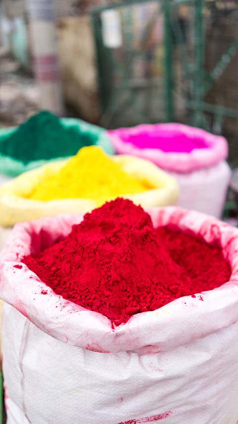 international_holi (4) preview