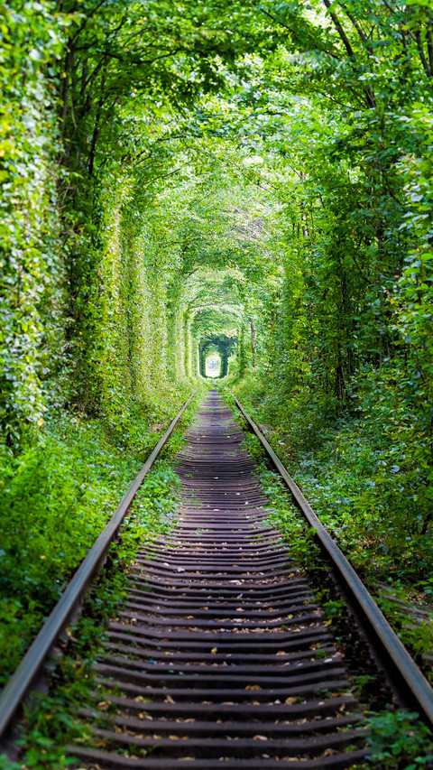 Love tunnel preview